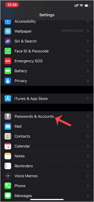 ios-apple-passwords-and-accounts.gif